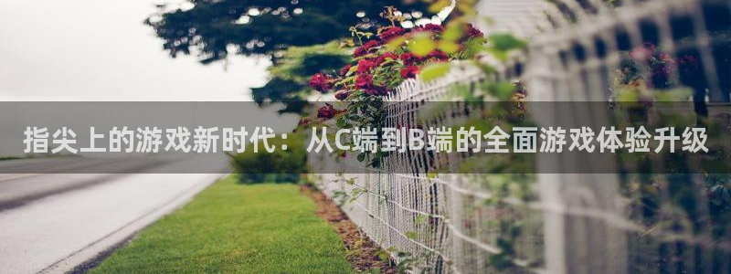 V8娱乐注册：指尖上的游戏新时代：从C端到B端的全面游戏体验