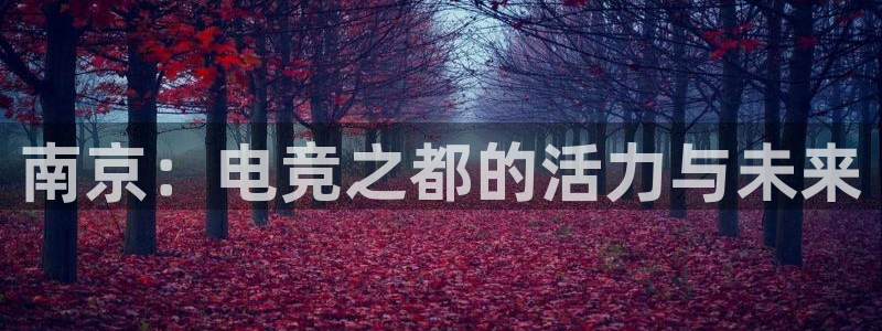V8娱乐注册：南京：电竞之都的活力与未来