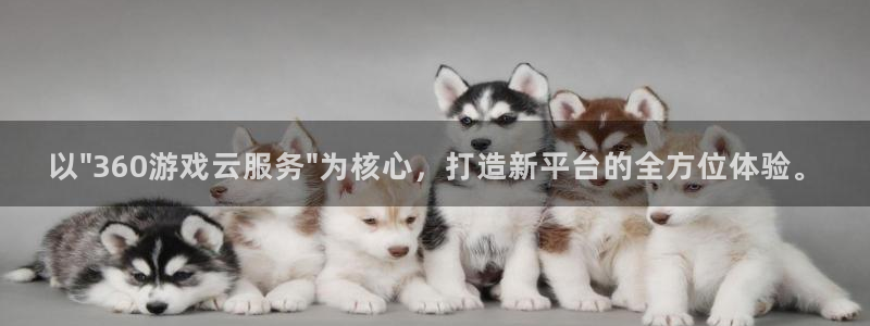 V8娱乐官网：以\
