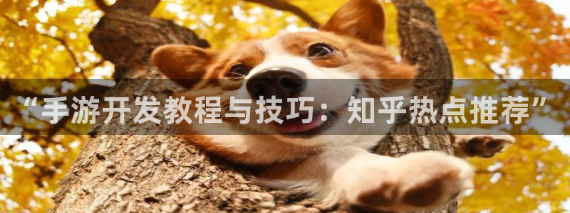 V8娱乐官网：“手游开发教程与技巧：知乎热点推荐”