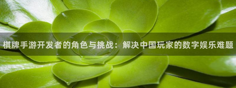 V8娱乐网：棋牌手游开发者的角色与挑战：解决中国玩家的数字娱