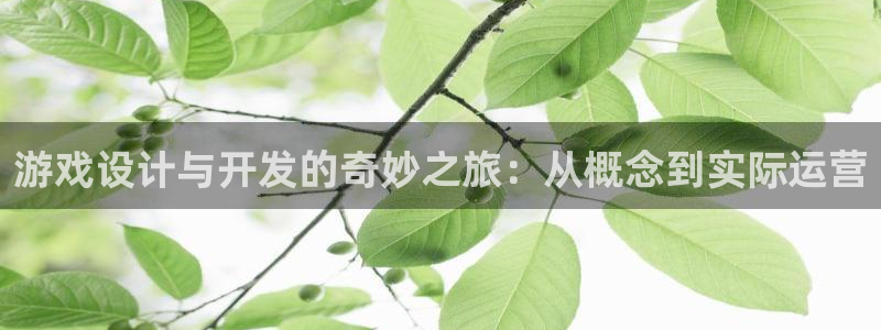 V8娱乐登录：游戏设计与开发的奇妙之旅：从概念到实际运营
