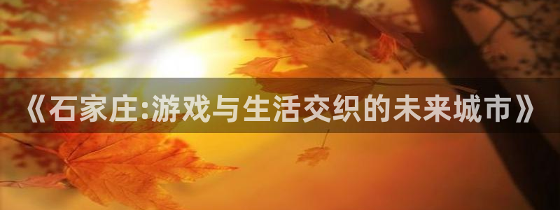 V8娱乐平台：《石家庄:游戏与生活交织的未来城市》