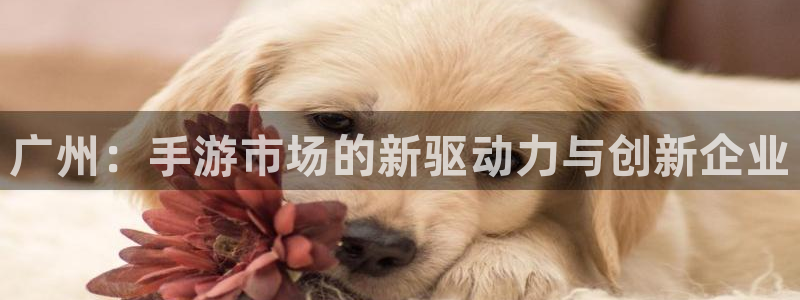 V8娱乐注册：广州：手游市场的新驱动力与创新企业