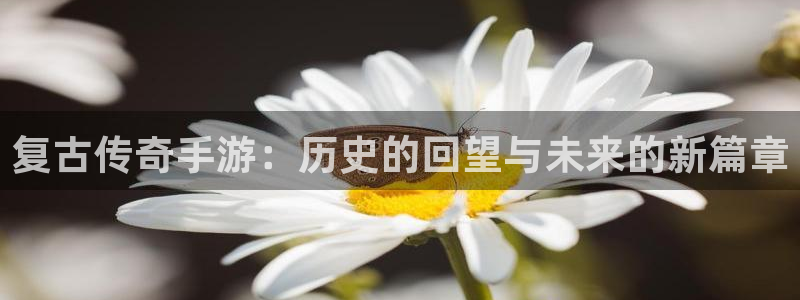V8娱乐：复古传奇手游：历史的回望与未来的新篇章