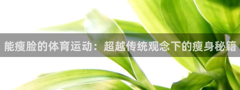 熊猫体育在线观看