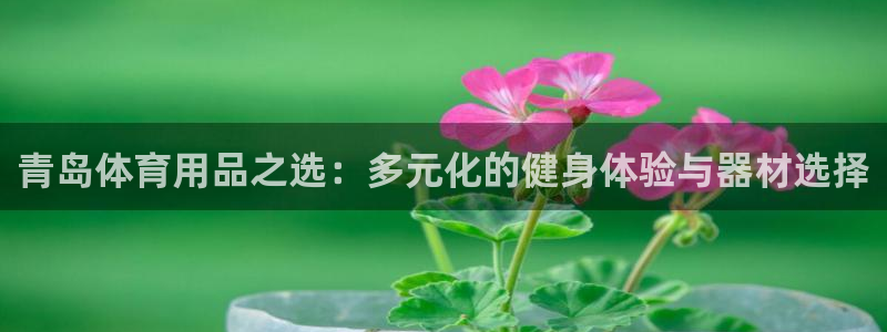 熊猫体育app官方入口：青岛体育用品之选：多元化的健身体验与器材选择