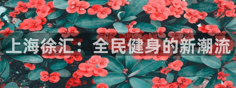 熊猫体育平台官网：上海徐汇：全民健身的新潮流