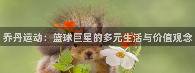 181熊猫体育：乔丹运动：篮球巨星的多元生活与价值观念