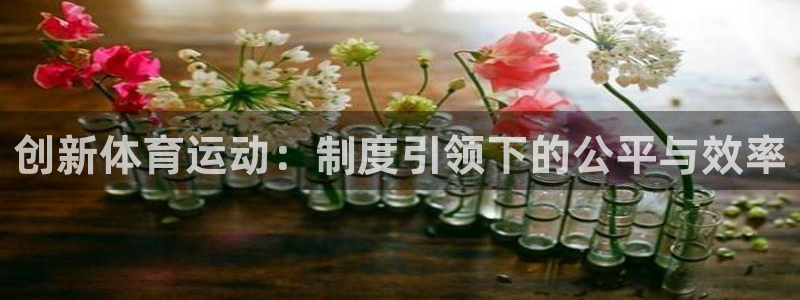 熊猫体育文化有限公司：创新体育运动：制度引领下的公平与效率