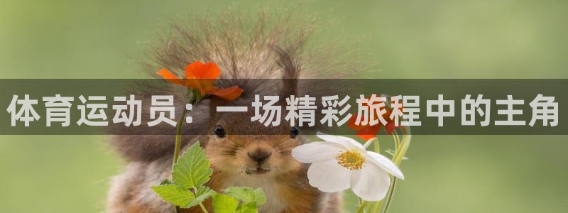 熊猫体育app官方下载最新版：体育运动员：一场精彩旅程中的主角