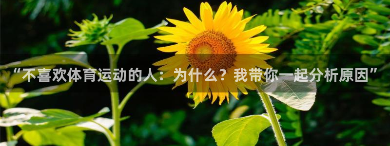 熊猫体育直播nba：“不喜欢体育运动的人：为什么？我带你一起分析原因”