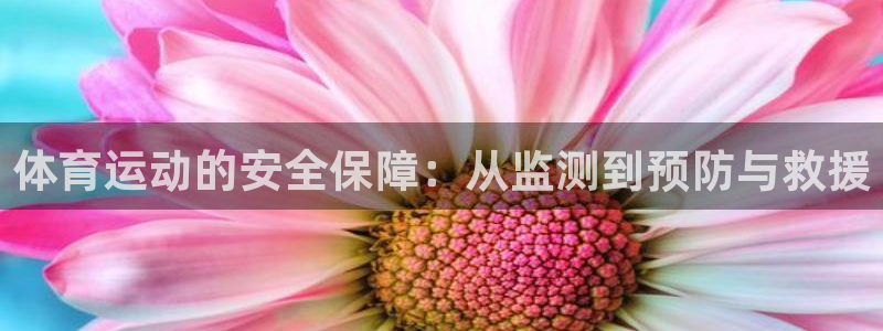 熊猫体育直播nba：体育运动的安全保障：从监测到预防与救援
